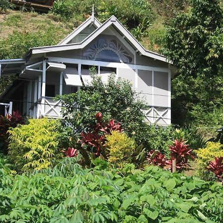 Gingerbread Cottage And Studio Fiji Савусаву Екстериор снимка