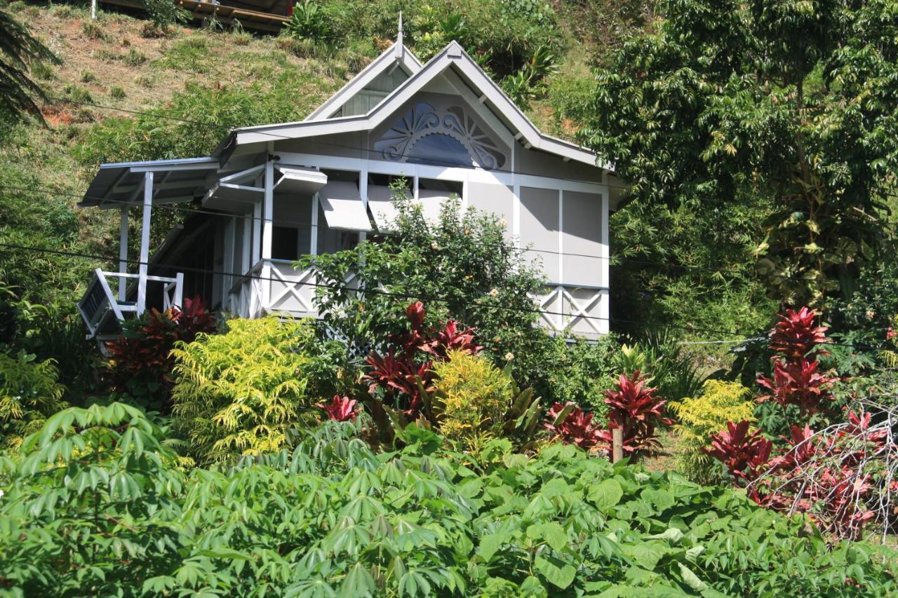 Gingerbread Cottage And Studio Fiji Савусаву Екстериор снимка